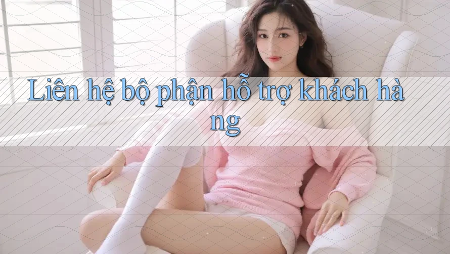 Liên Hệ Bộ Phận Hỗ Trợ Khách Hàng