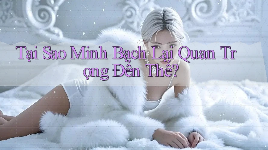 Tại Sao “Minh Bạch” Lại Quan Trọng Đến Thế?